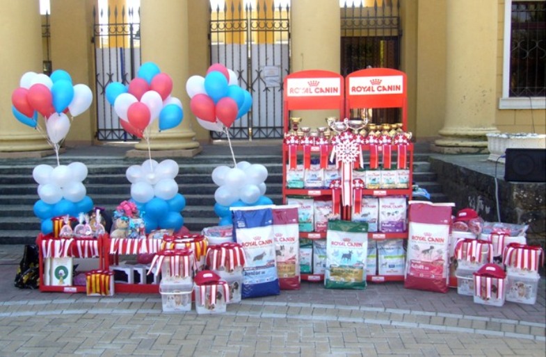 26.04.2009 Региональная выставка ранга САС-КЧРФСС